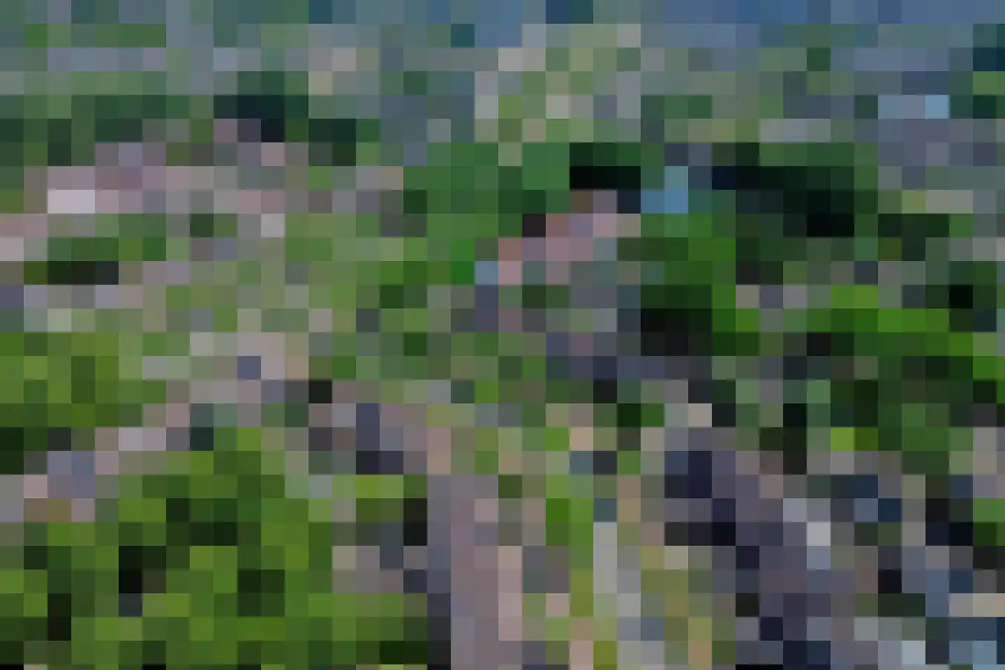 Elgerweg 1 Alkmaar thumbnail 6