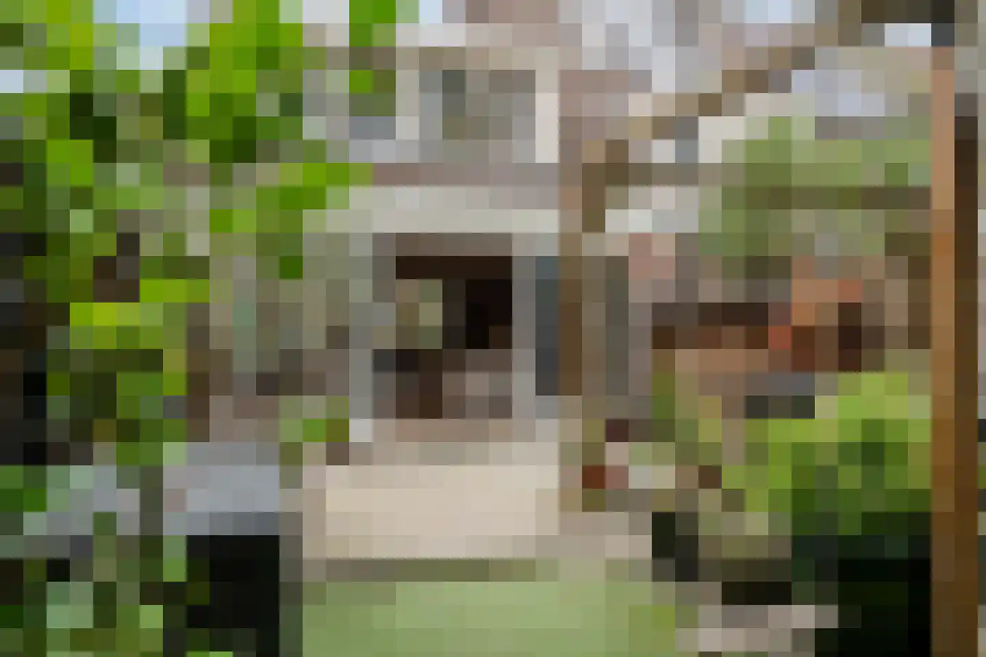 Elgerweg 15 Alkmaar thumbnail 40