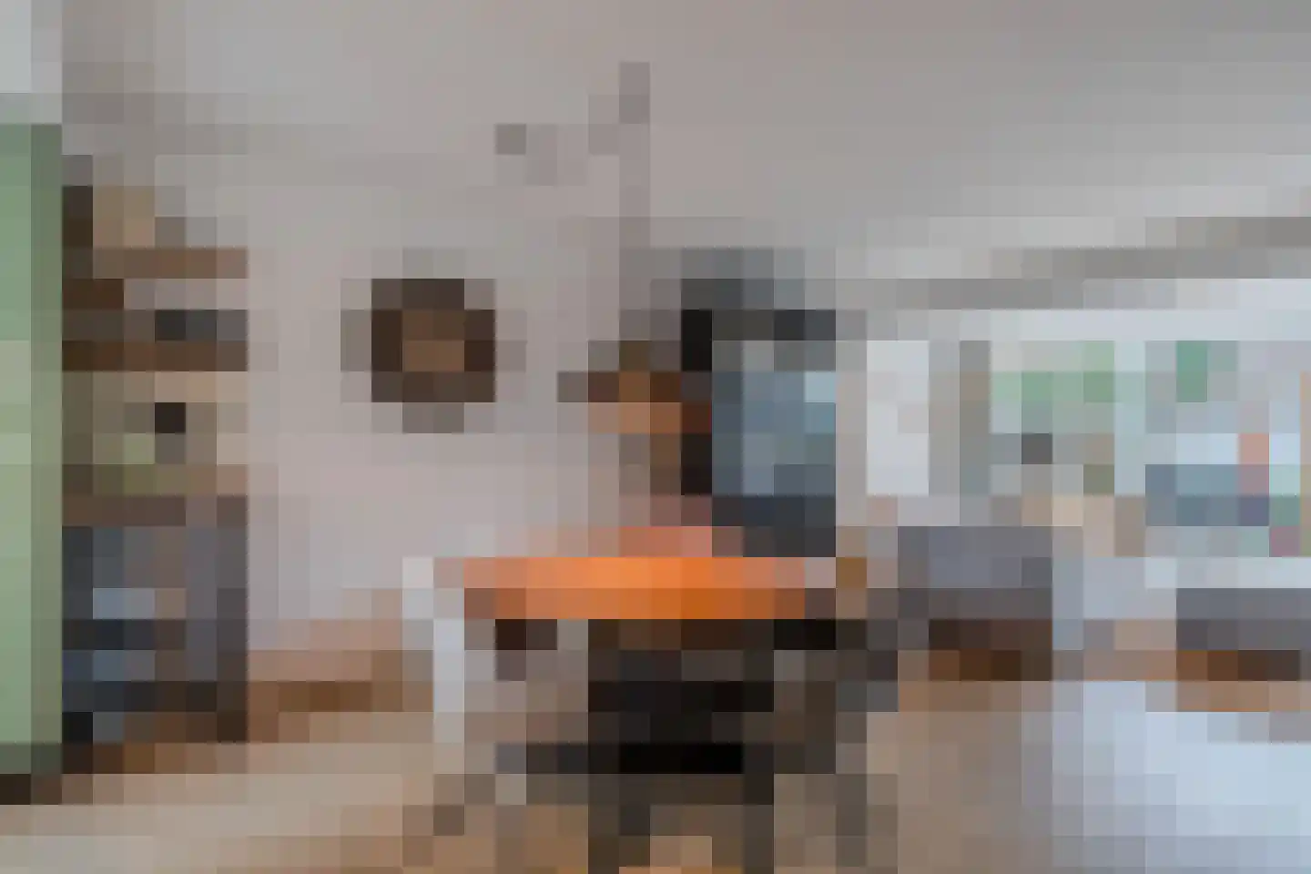 Elgerweg 15 Alkmaar thumbnail 6