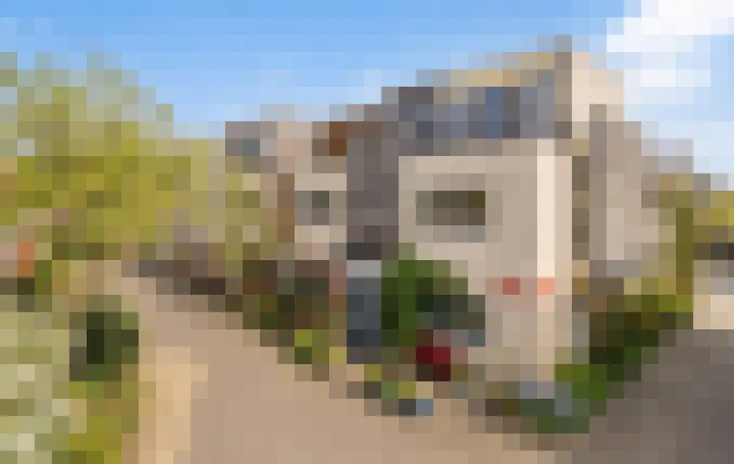 Eli Heimanshof 10 Oegstgeest