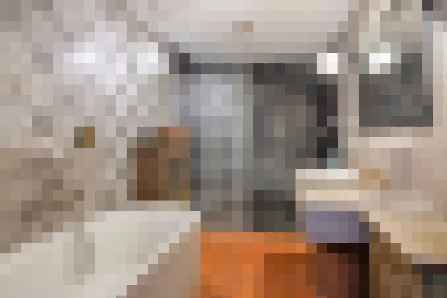 Eli Heimanshof 10 Oegstgeest thumbnail 14