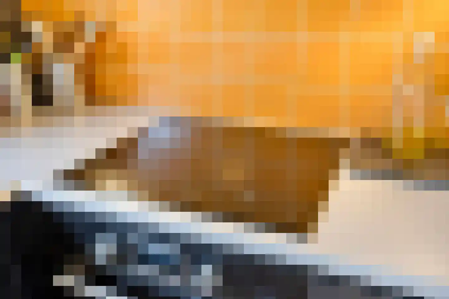 Eli Heimanshof 10 Oegstgeest thumbnail 31