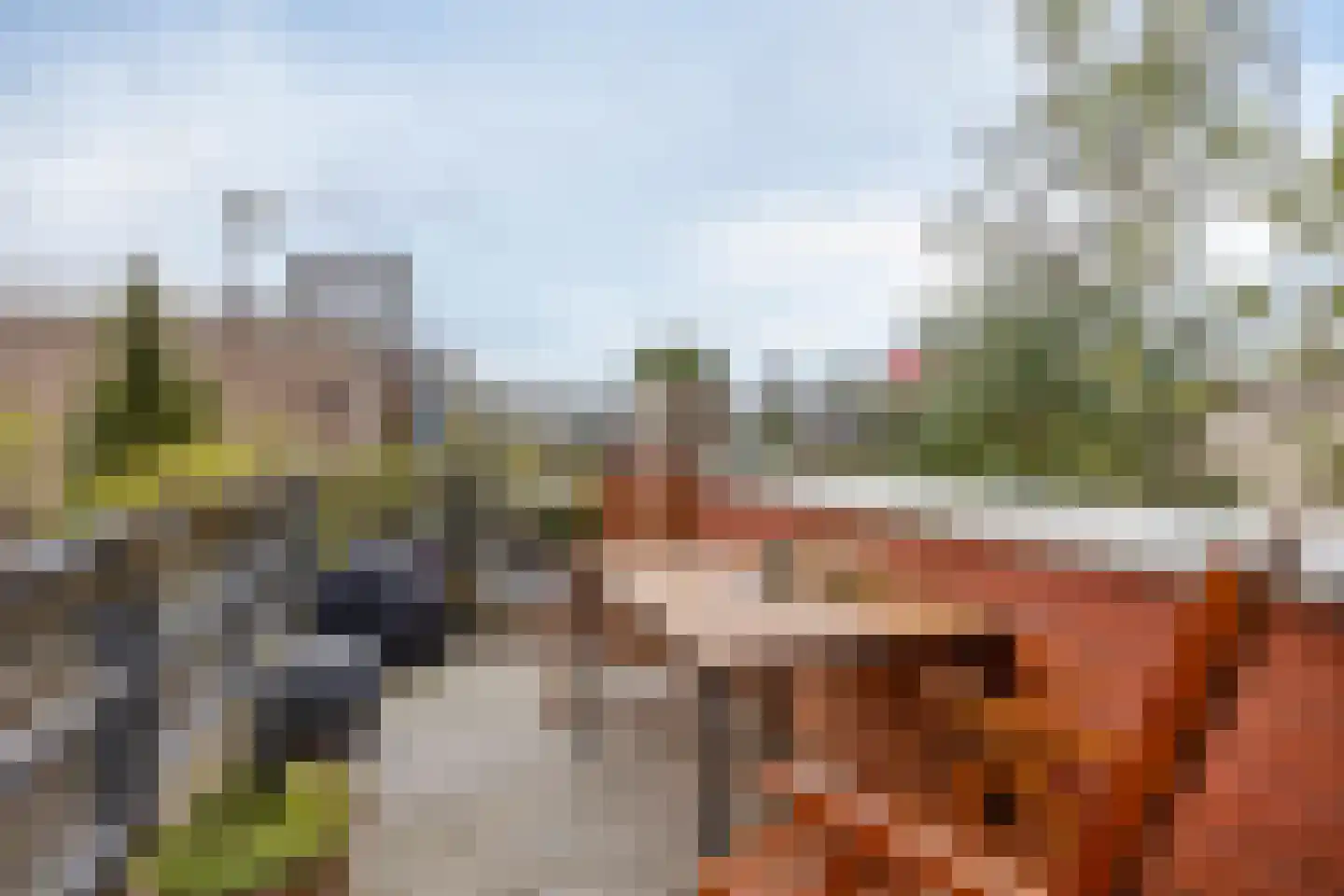 Eli Heimanshof 10 Oegstgeest thumbnail 34