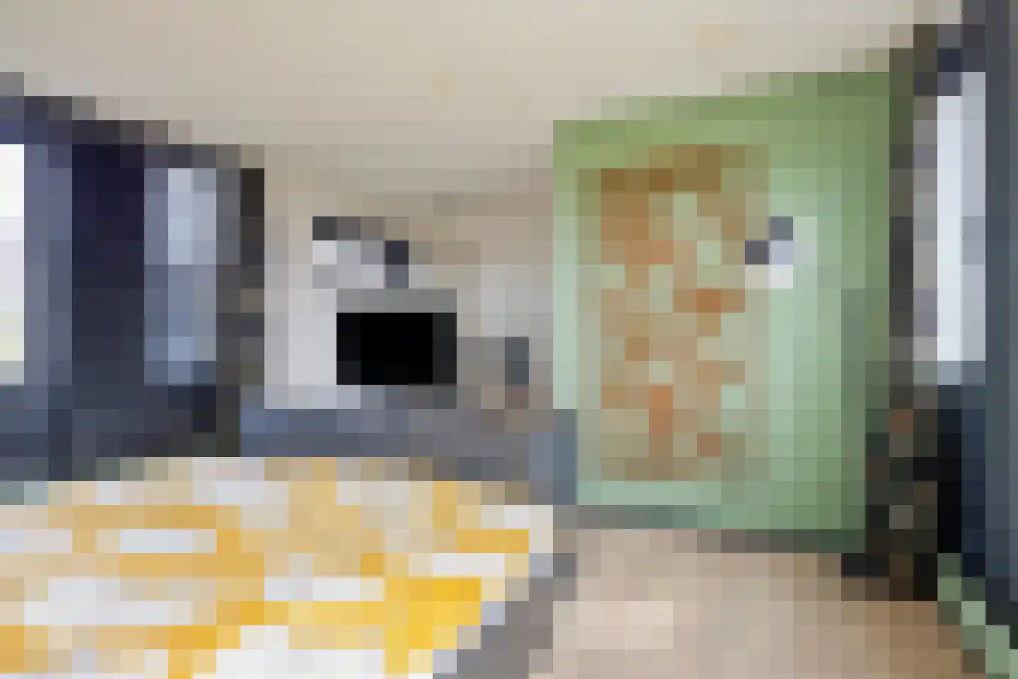 Eli Heimanshof 10 Oegstgeest thumbnail 39