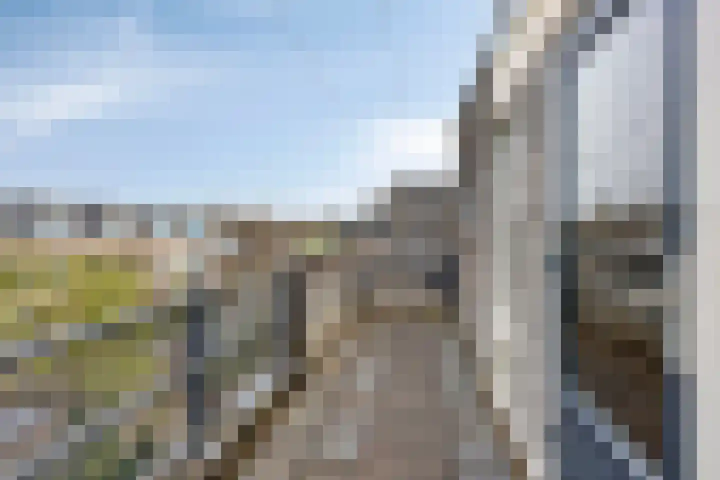 Eli Heimanshof 10 Oegstgeest thumbnail 43