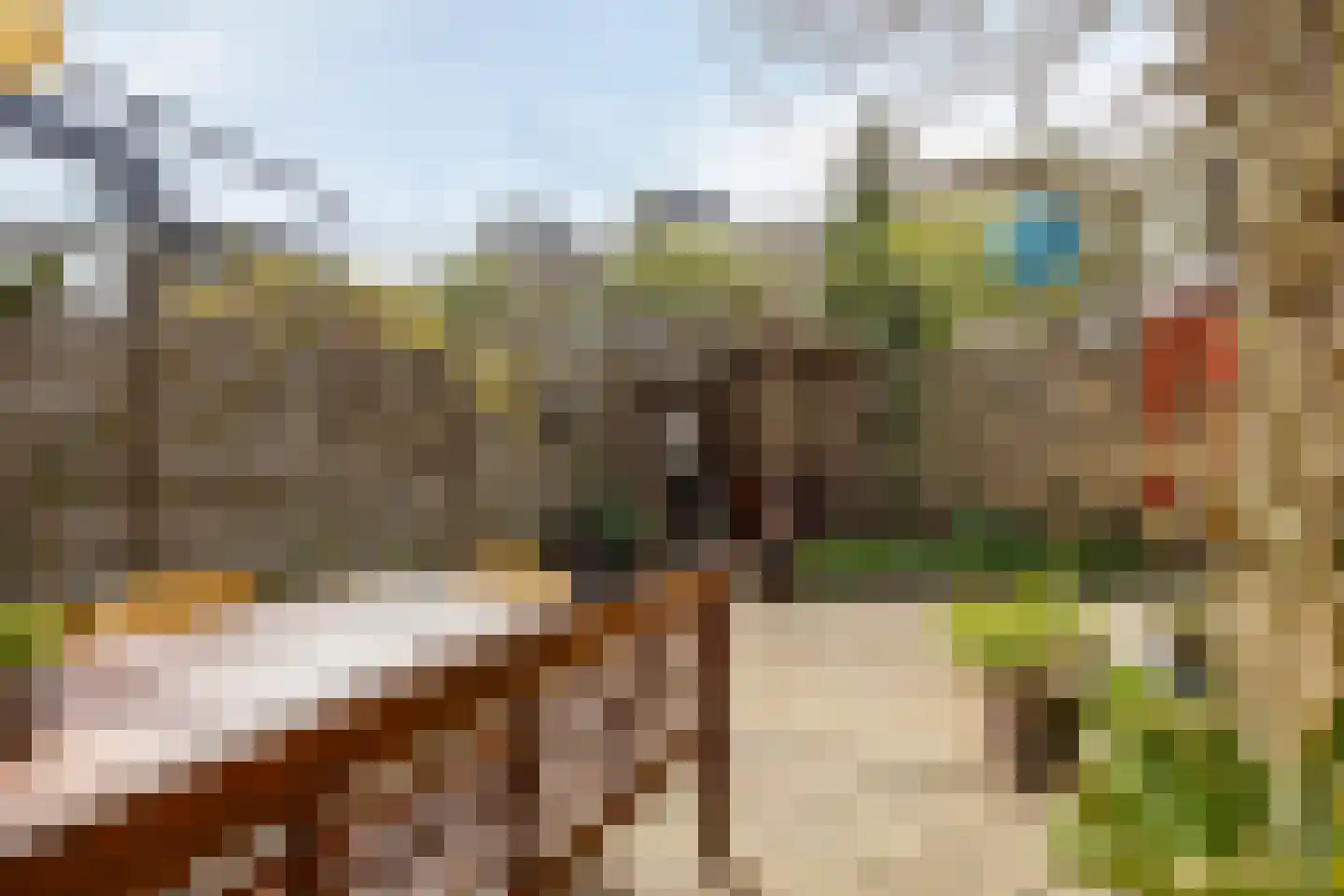 Eli Heimanshof 10 Oegstgeest thumbnail 45