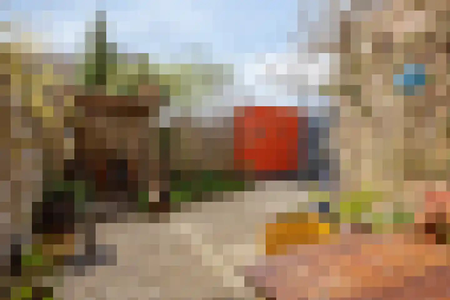 Eli Heimanshof 10 Oegstgeest thumbnail 46