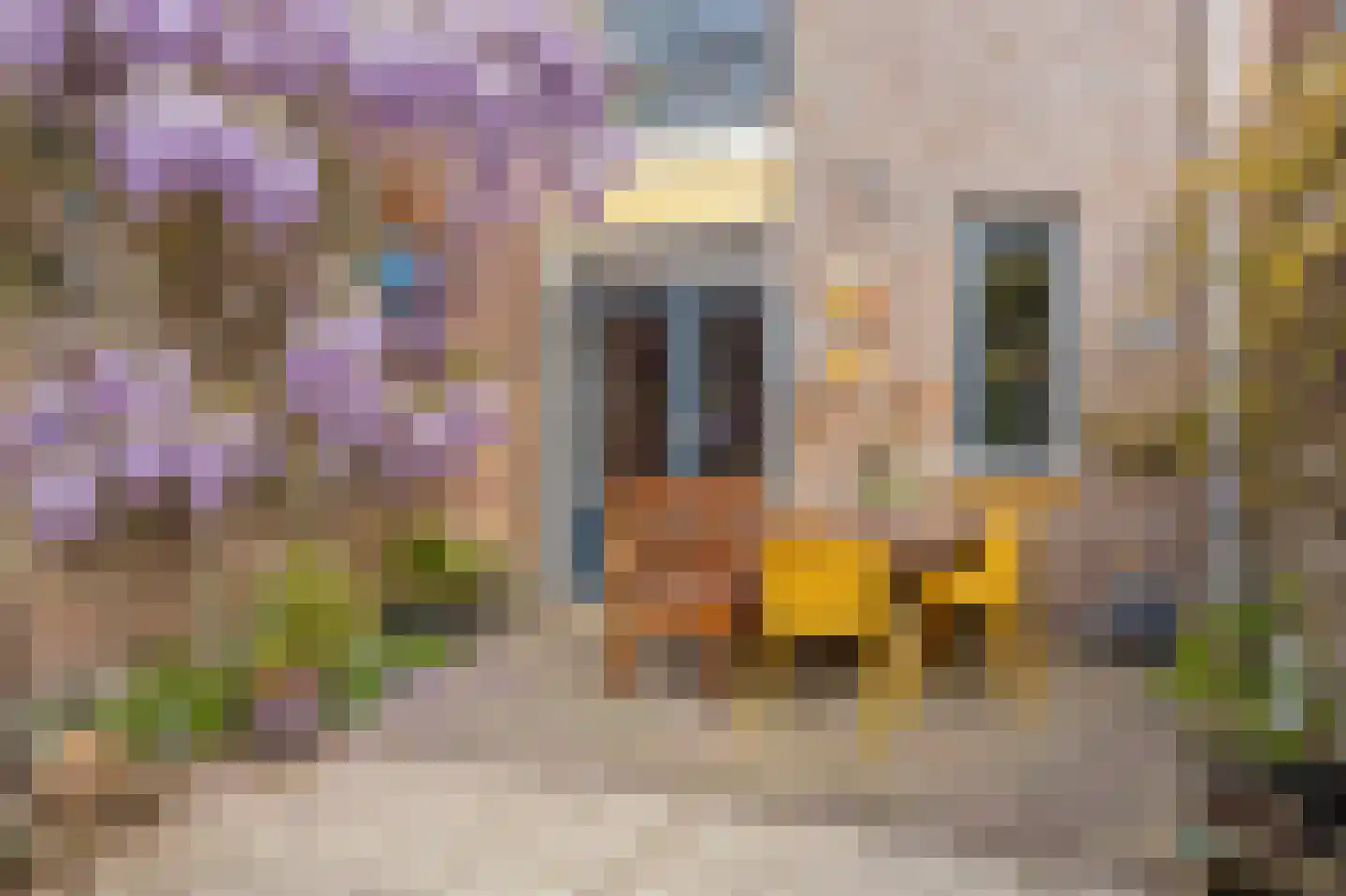 Eli Heimanshof 10 Oegstgeest thumbnail 5
