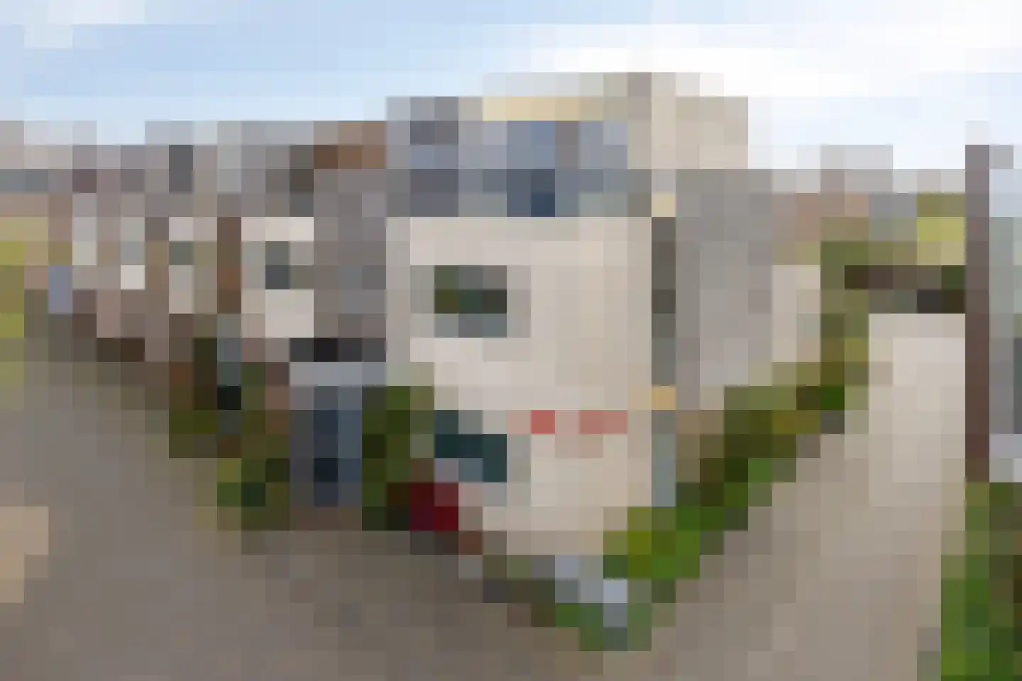 Eli Heimanshof 10 Oegstgeest thumbnail 54