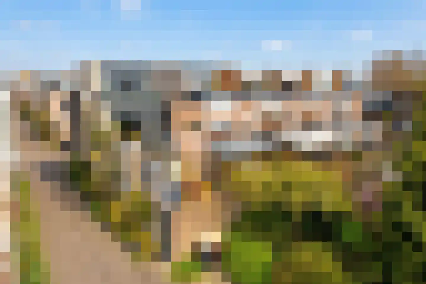 Eli Heimanshof 10 Oegstgeest thumbnail 6