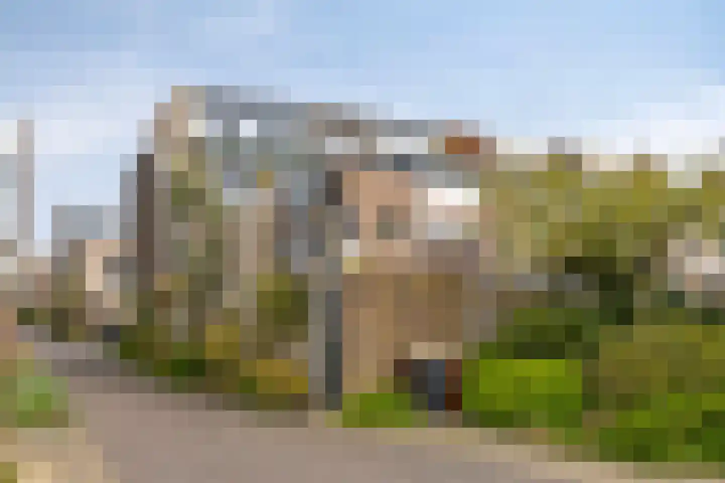 Eli Heimanshof 10 Oegstgeest thumbnail 60
