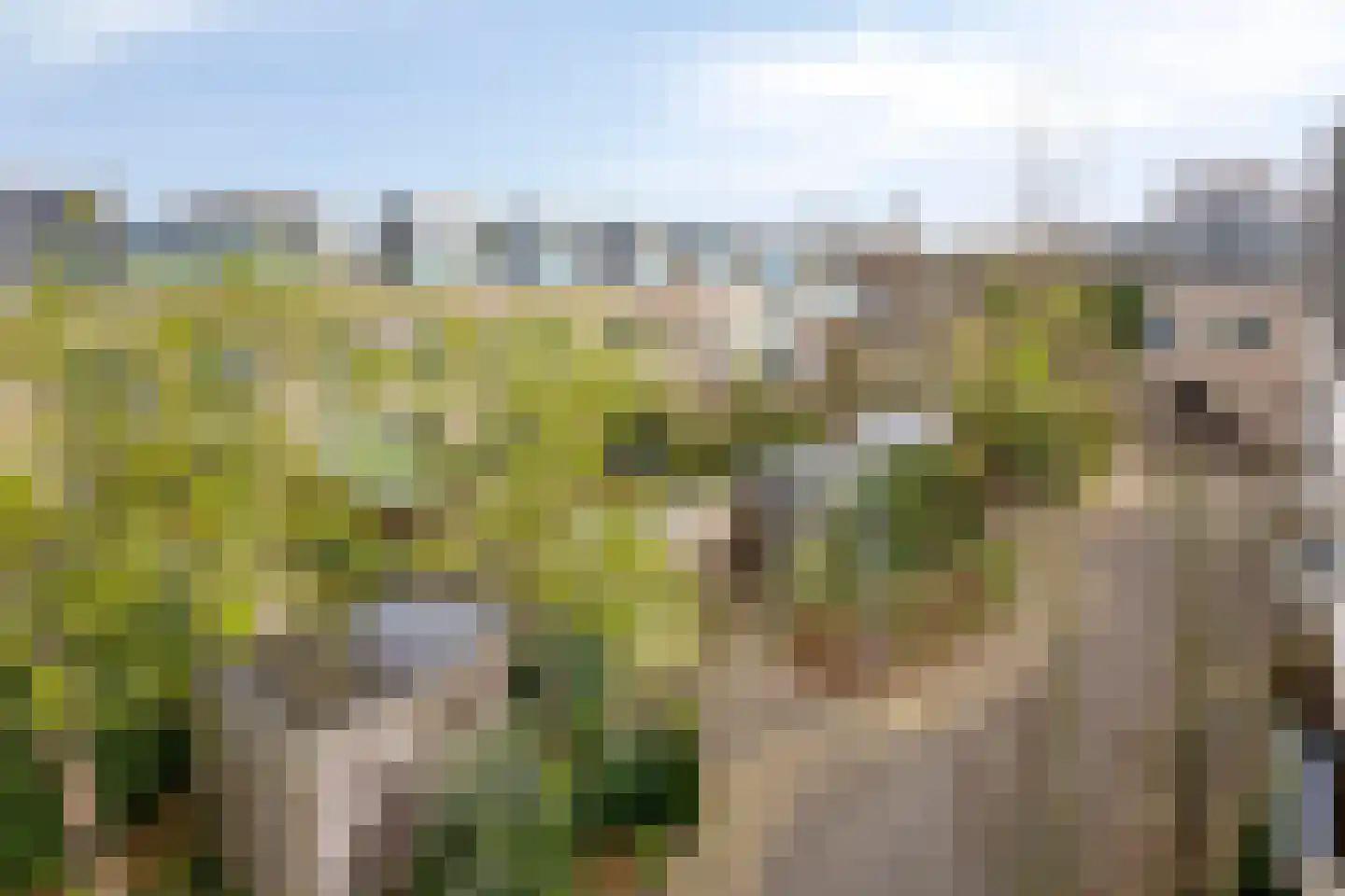 Eli Heimanshof 10 Oegstgeest thumbnail 64