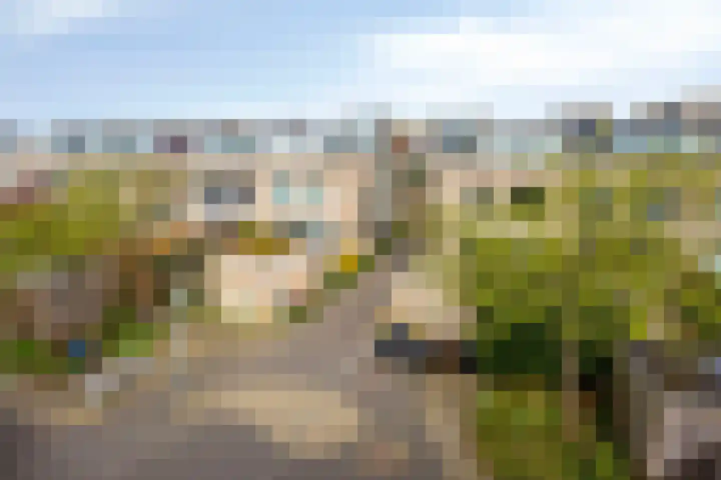 Eli Heimanshof 10 Oegstgeest thumbnail 65