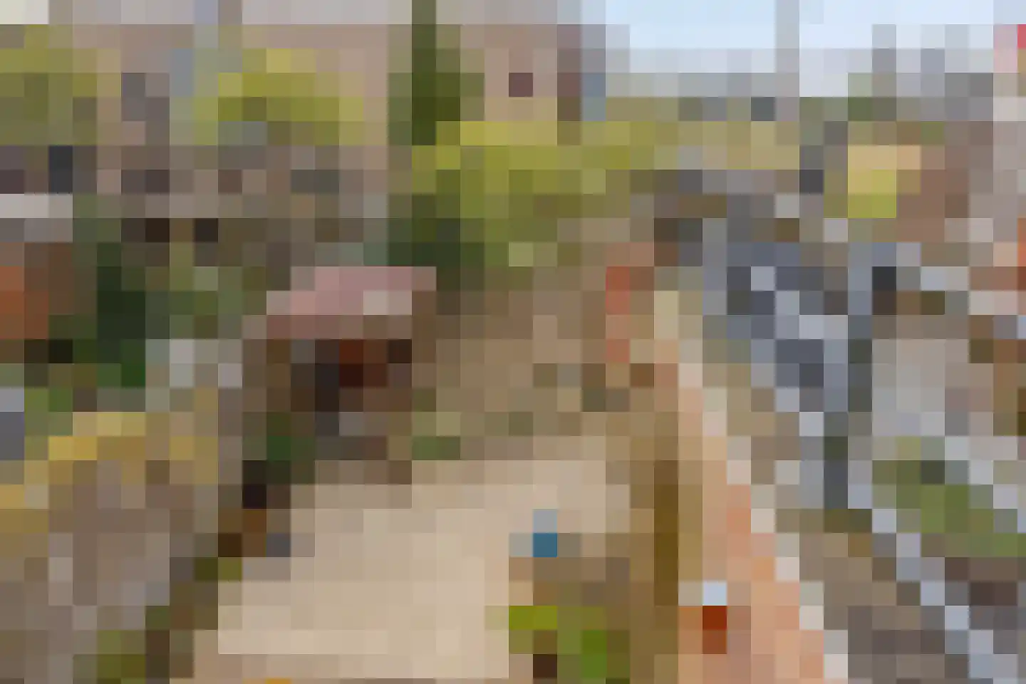 Eli Heimanshof 10 Oegstgeest thumbnail 66