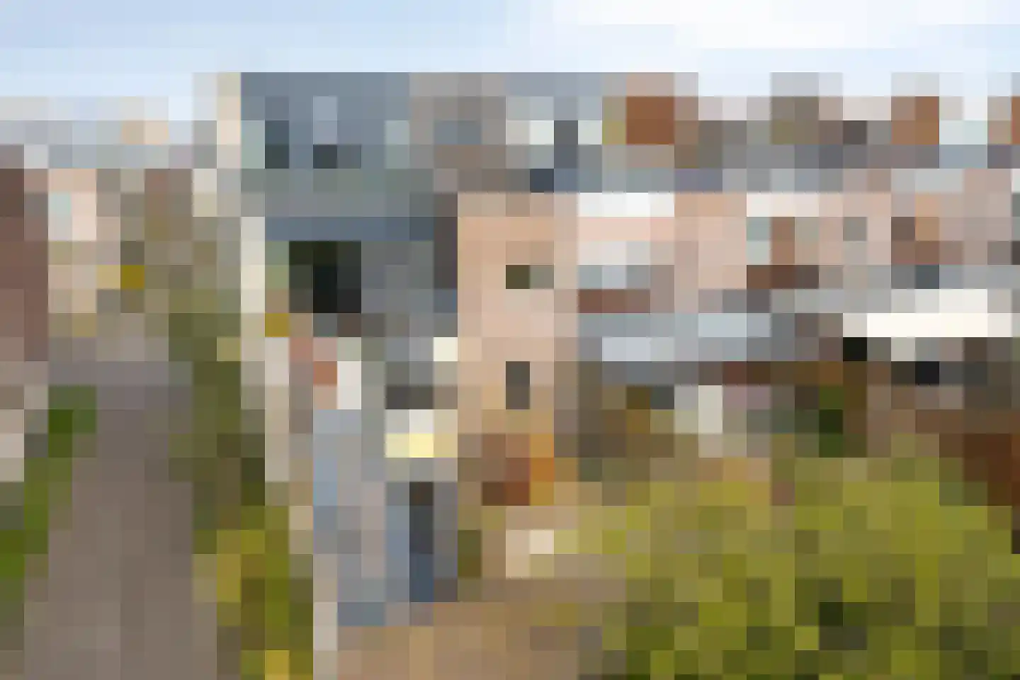 Eli Heimanshof 10 Oegstgeest thumbnail 69