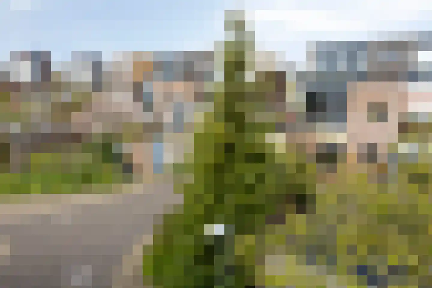 Eli Heimanshof 10 Oegstgeest thumbnail 70