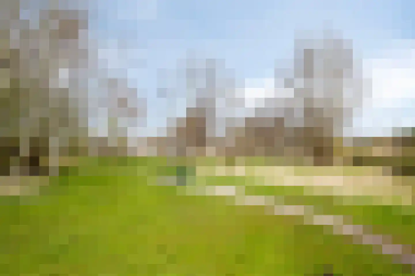 Eli Heimanshof 10 Oegstgeest thumbnail 74