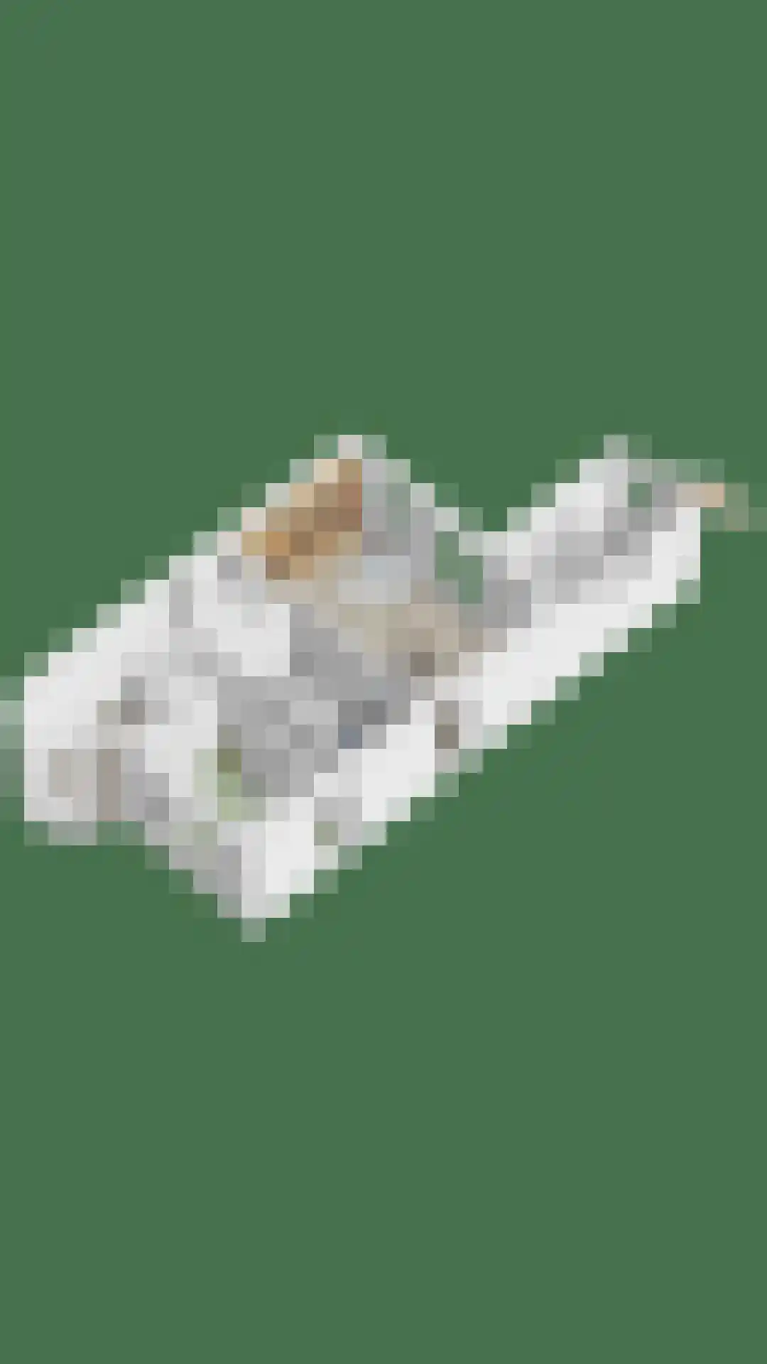 Eli Heimanshof 10 Oegstgeest thumbnail 86