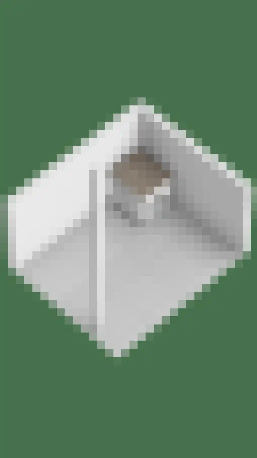 Eli Heimanshof 10 Oegstgeest thumbnail 89