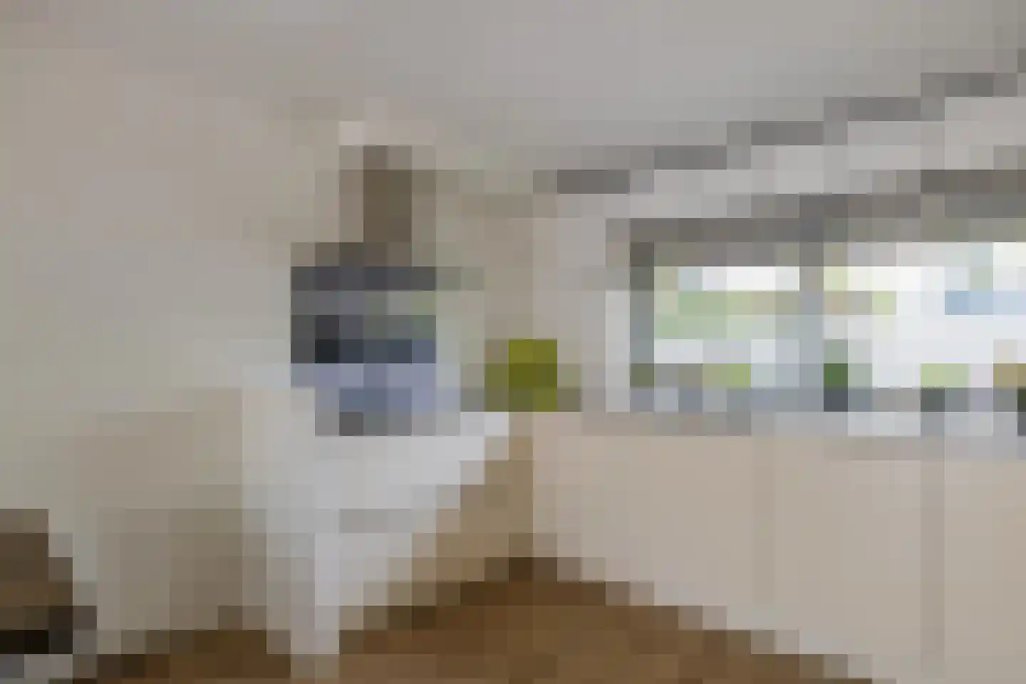 Eli Heimanshof 36 Oegstgeest thumbnail 12
