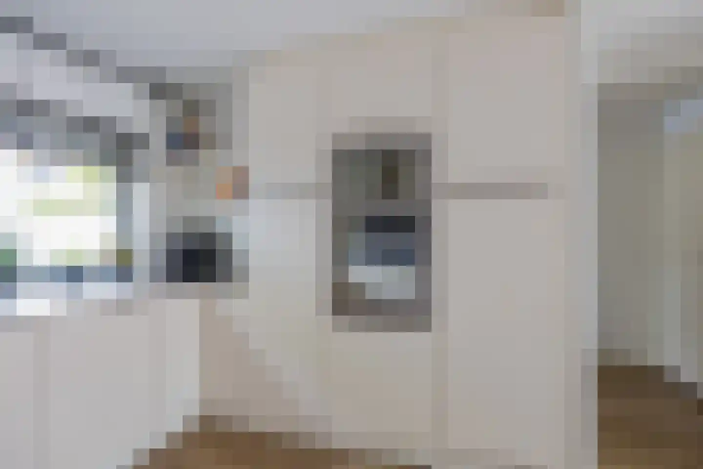 Eli Heimanshof 36 Oegstgeest thumbnail 13