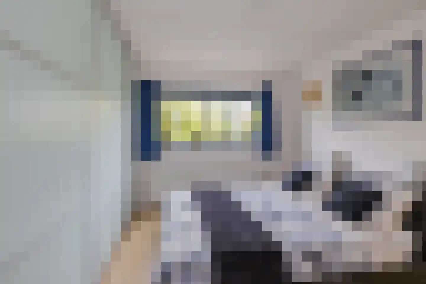 Eli Heimanshof 36 Oegstgeest thumbnail 27
