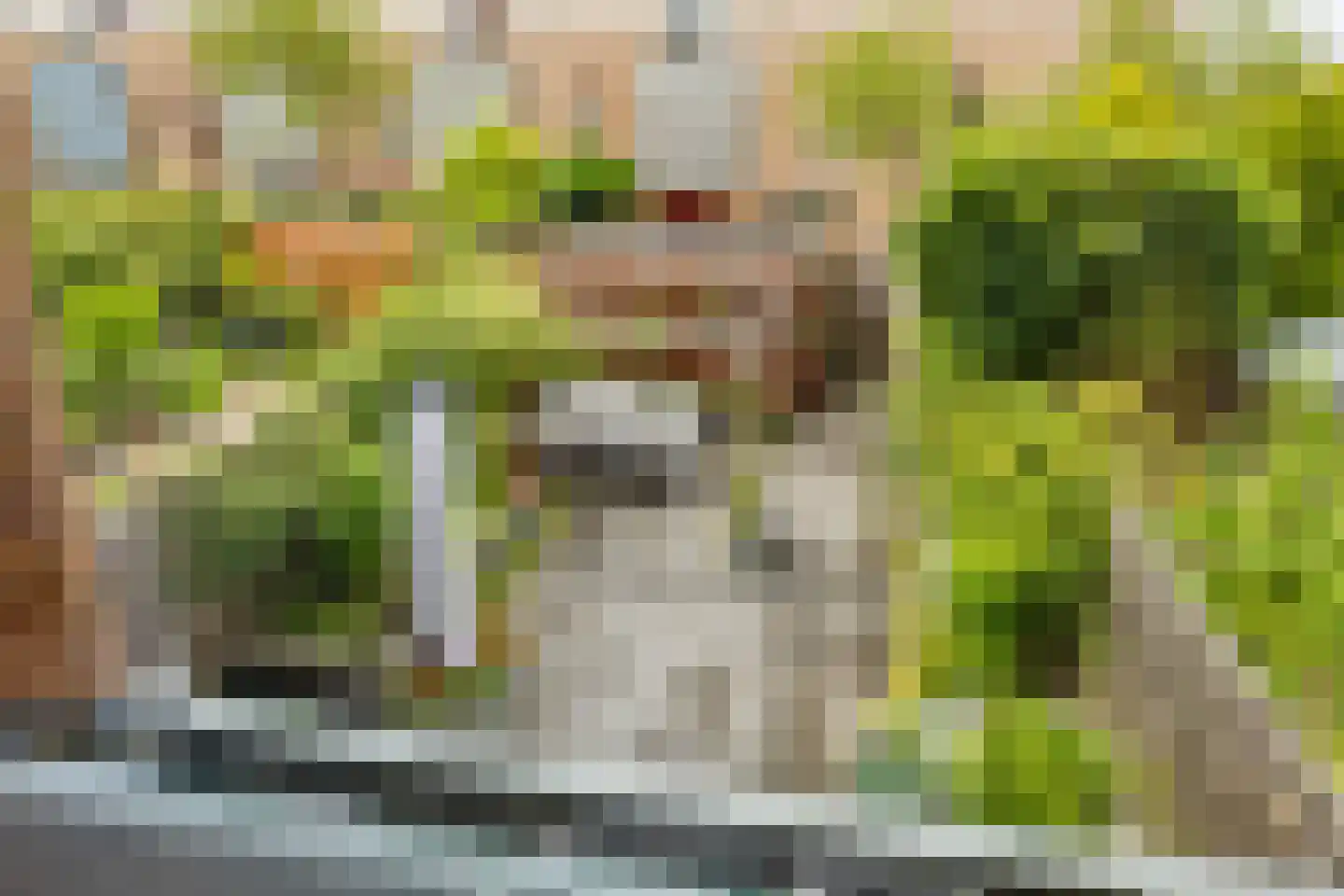 Eli Heimanshof 36 Oegstgeest thumbnail 31