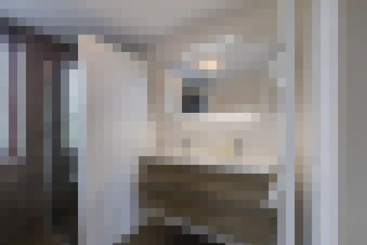 Eli Heimanshof 36 Oegstgeest thumbnail 35
