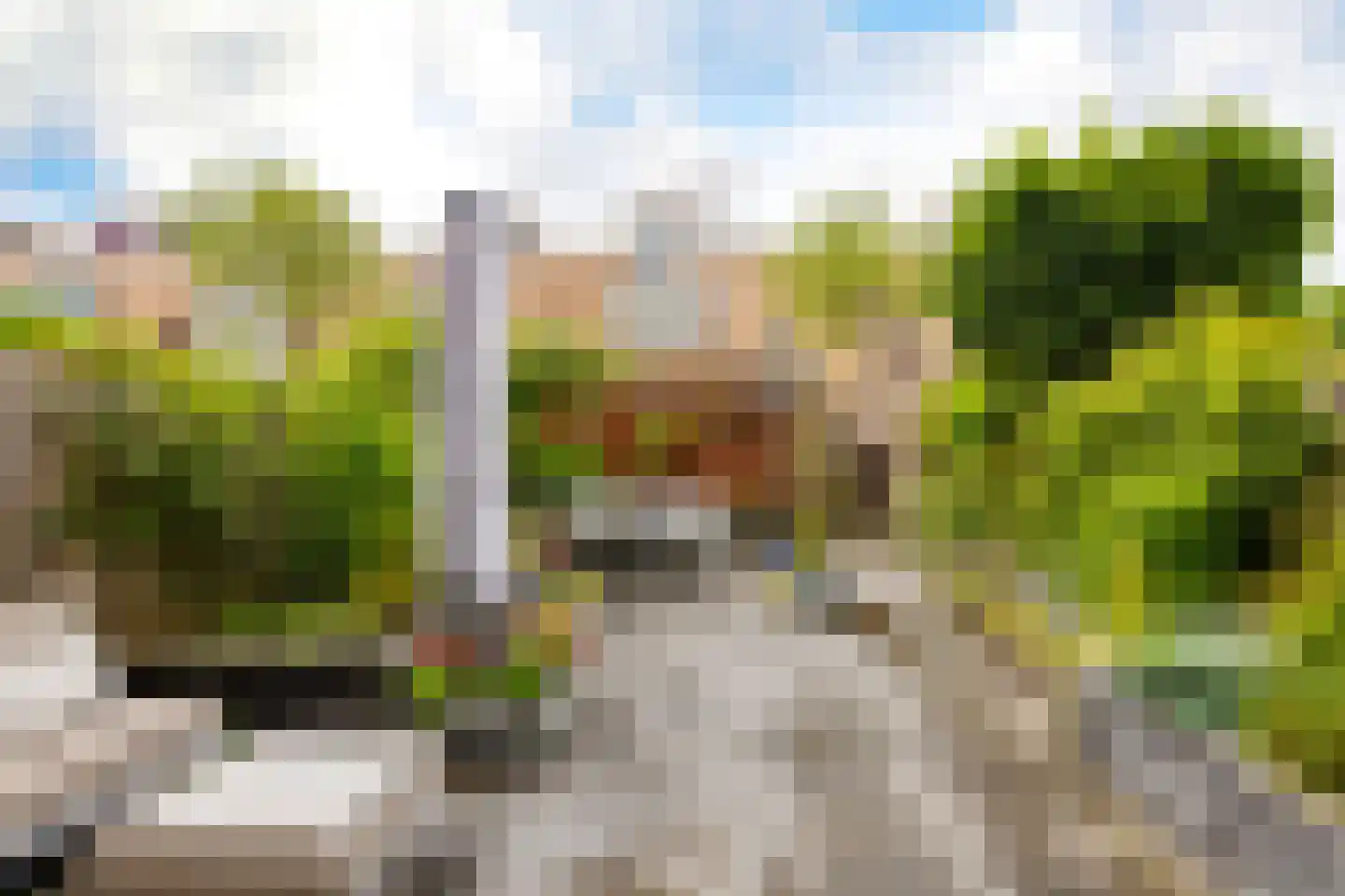 Eli Heimanshof 36 Oegstgeest thumbnail 51