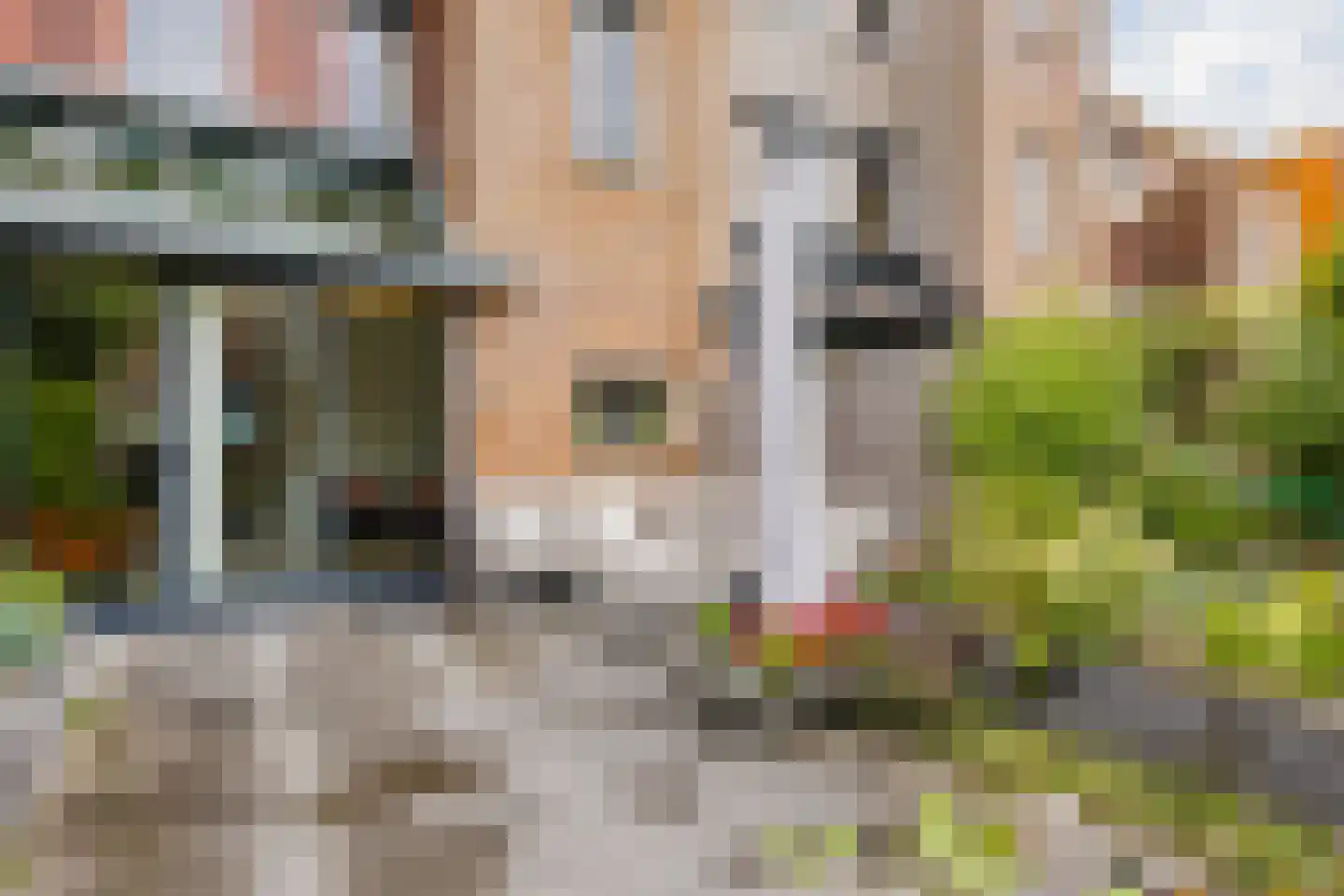 Eli Heimanshof 36 Oegstgeest thumbnail 53