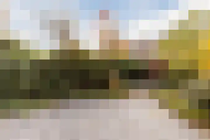 Eli Heimanshof 77 Oegstgeest thumbnail 12