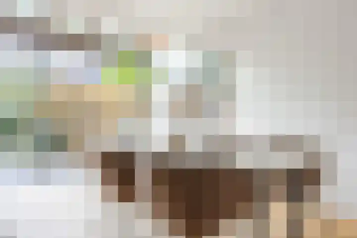 Eli Heimanshof 77 Oegstgeest thumbnail 14