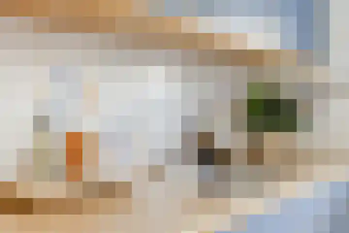 Eli Heimanshof 77 Oegstgeest thumbnail 19