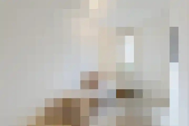 Eli Heimanshof 77 Oegstgeest thumbnail 26