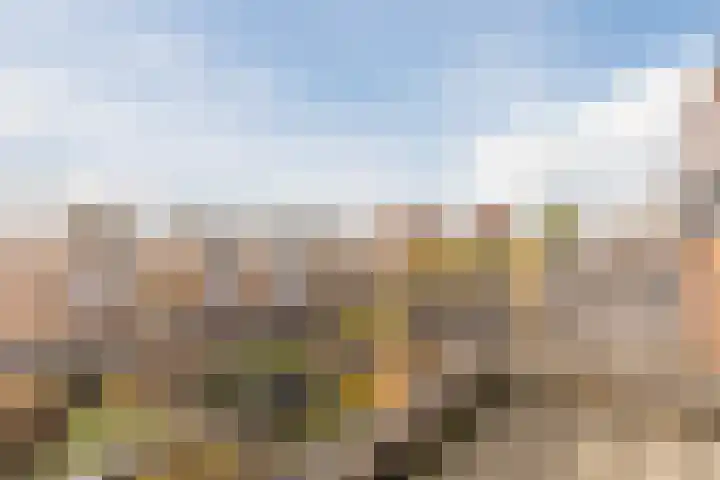 Eli Heimanshof 77 Oegstgeest thumbnail 33