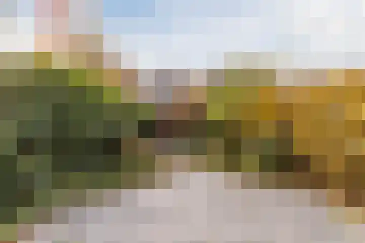 Eli Heimanshof 77 Oegstgeest thumbnail 38