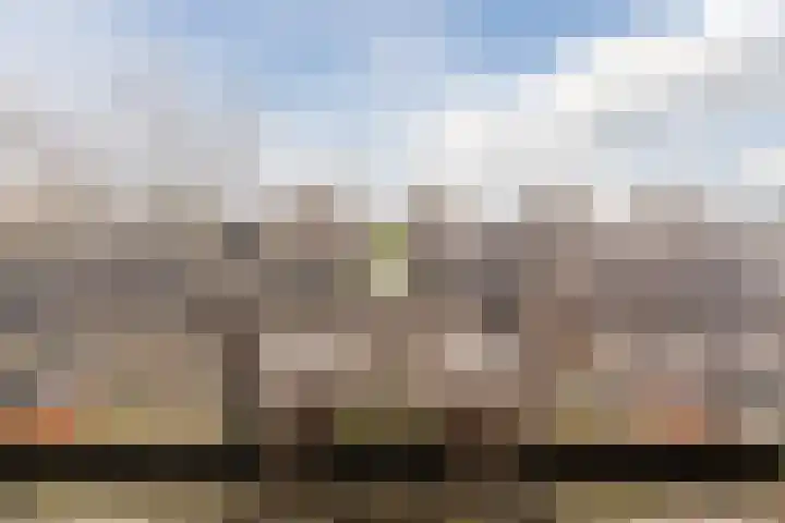 Eli Heimanshof 78 Oegstgeest thumbnail 32