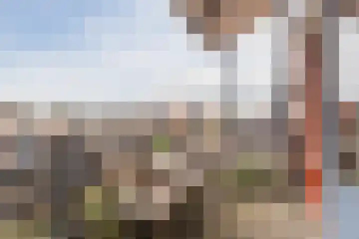 Eli Heimanshof 78 Oegstgeest thumbnail 33
