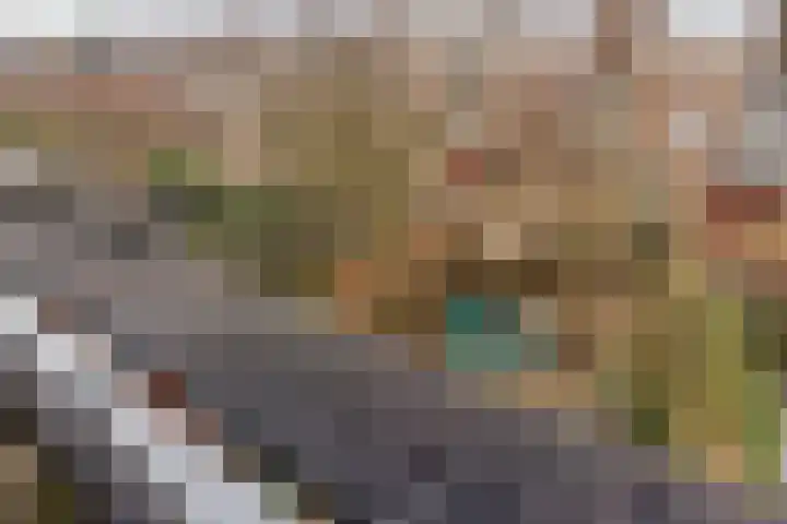 Eli Heimanshof 78 Oegstgeest thumbnail 34
