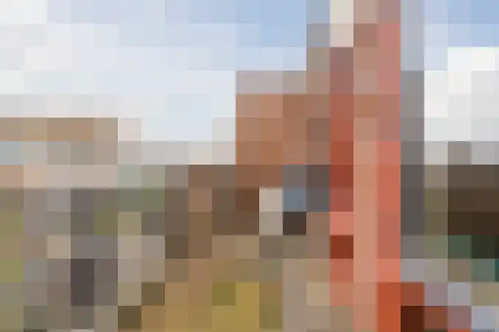 Eli Heimanshof 78 Oegstgeest thumbnail 35
