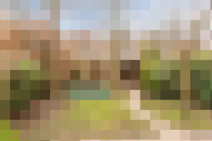Eli Heimanshof 78 Oegstgeest thumbnail 36