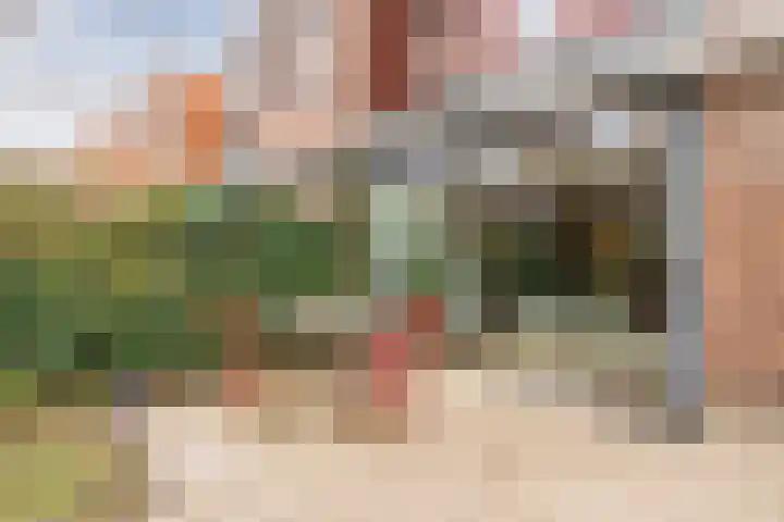 Eli Heimanshof 78 Oegstgeest thumbnail 37