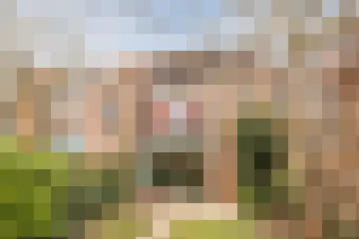 Eli Heimanshof 78 Oegstgeest thumbnail 39