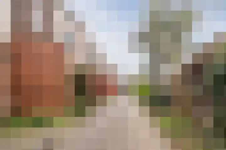 Eli Heimanshof 78 Oegstgeest thumbnail 41