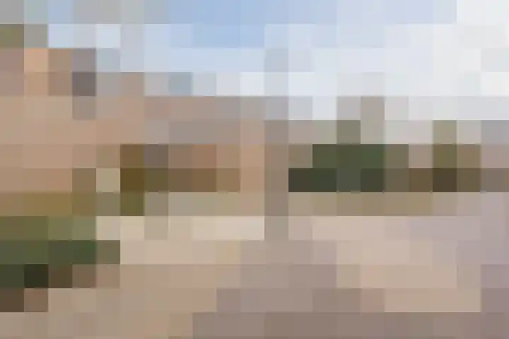 Eli Heimanshof 78 Oegstgeest thumbnail 42