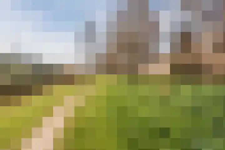 Eli Heimanshof 78 Oegstgeest thumbnail 43
