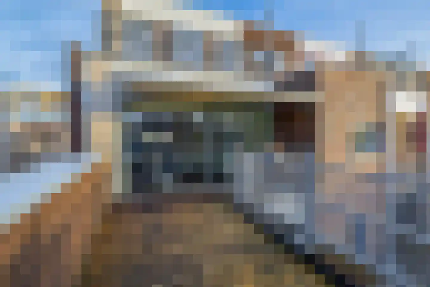 Eli Heimanshof 81 Oegstgeest thumbnail 24