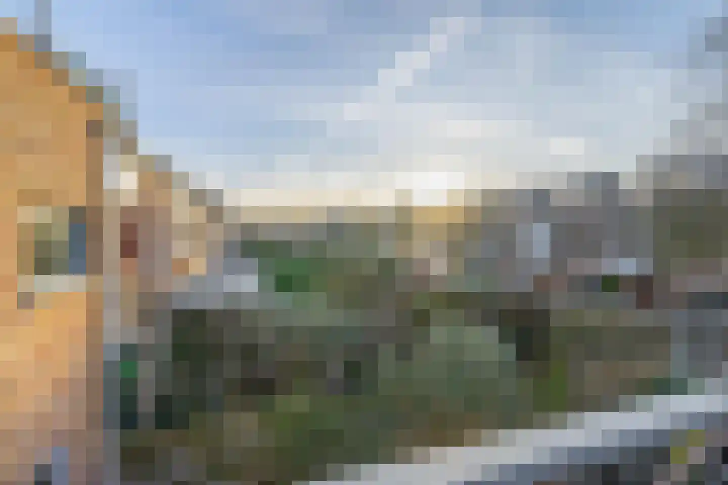 Eli Heimanshof 81 Oegstgeest thumbnail 25