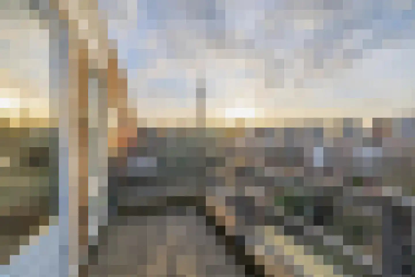 Eli Heimanshof 81 Oegstgeest thumbnail 37