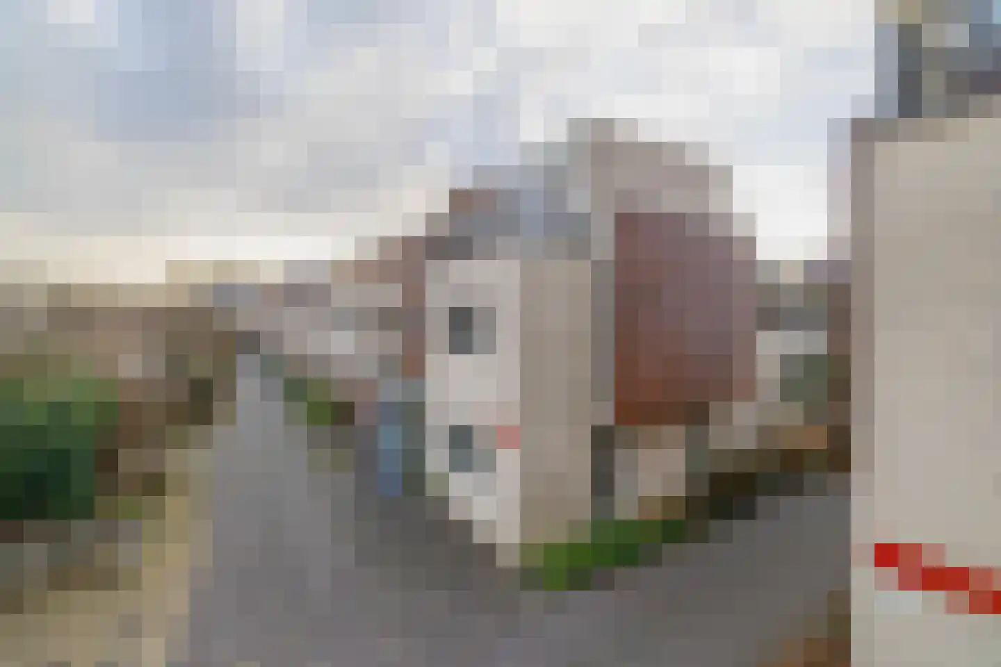 Eli Heimanshof 81 Oegstgeest thumbnail 42